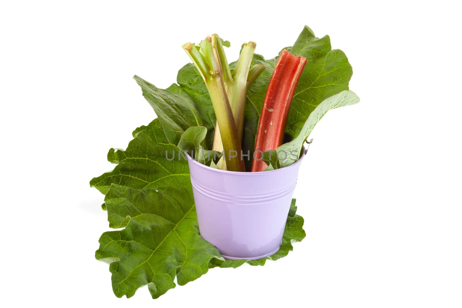 Rhubarb rods in tin buckets