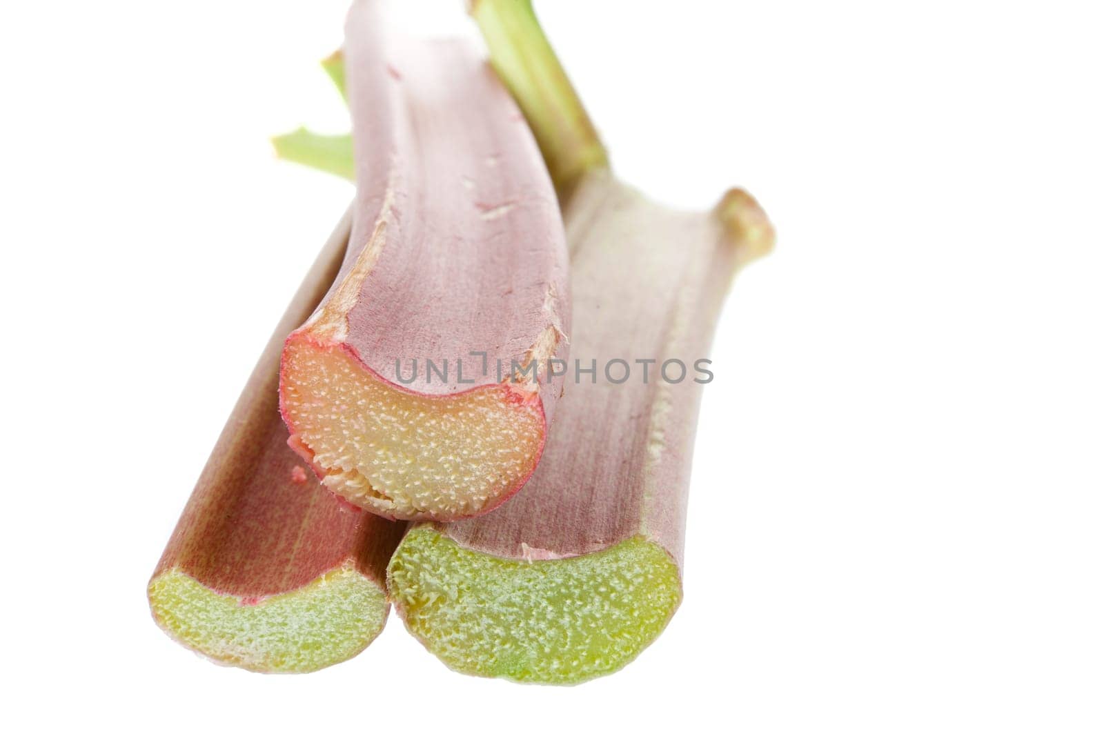 Rhubarb sticks against white background