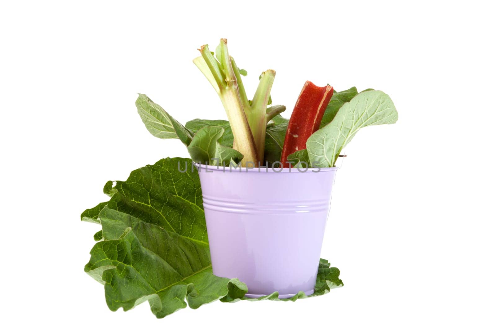 Rhubarb rods in tin buckets