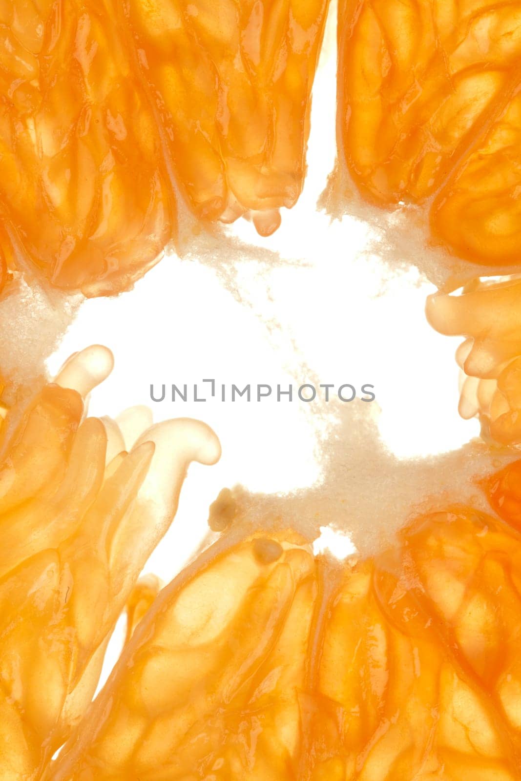 Extreme macro of the core of an orange