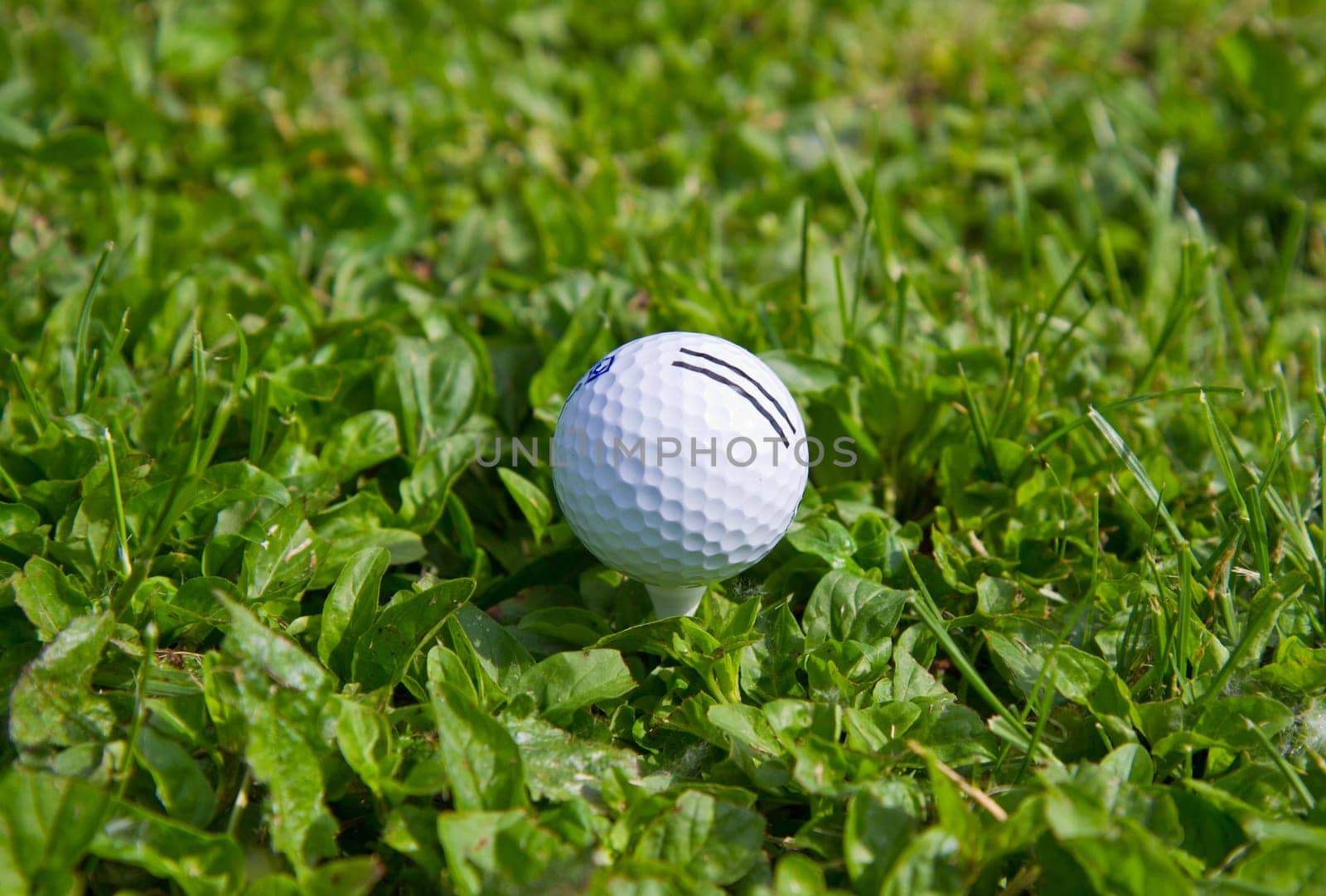 golf ball on green grass