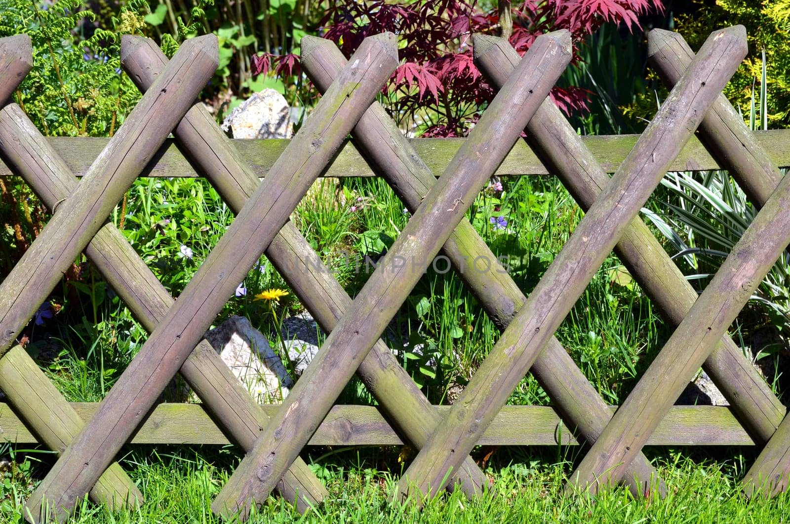 Garden Fence Hunter's Fence