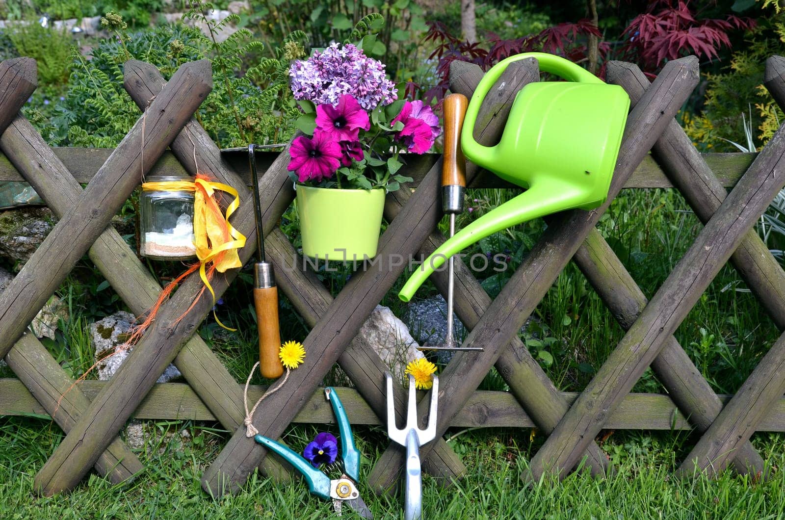 Garden Fence Flowers