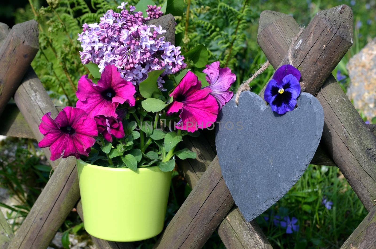 Spring Garden Fence Heart Flowers Garden