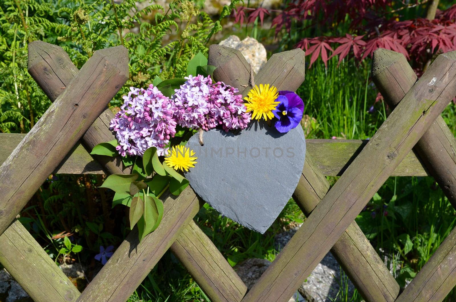 Spring Garden Fence Heart Flowers Garden