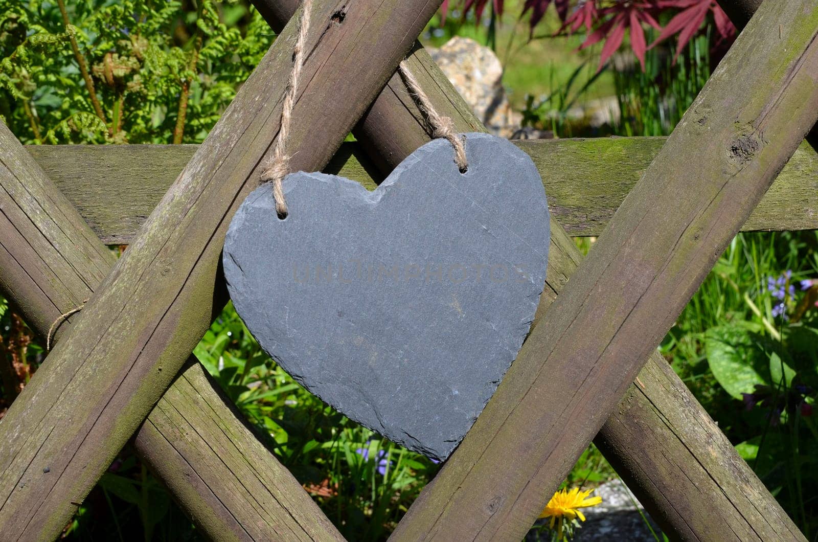 Spring Garden Fence Heart Flowers Garden