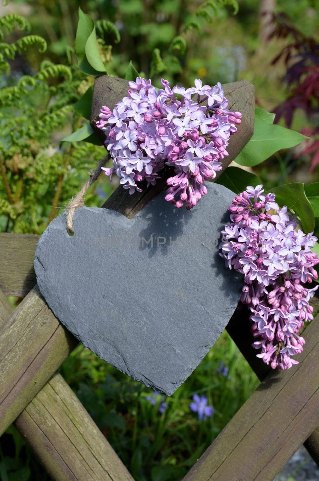 Spring Garden Fence Heart Flowers Garden