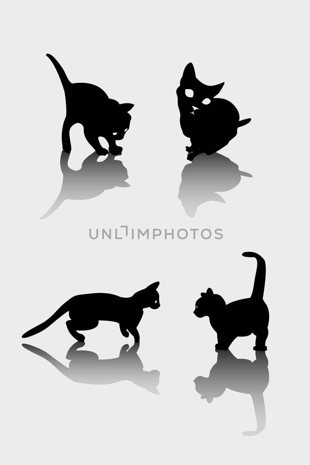 Playing cat silhouettes and shadow