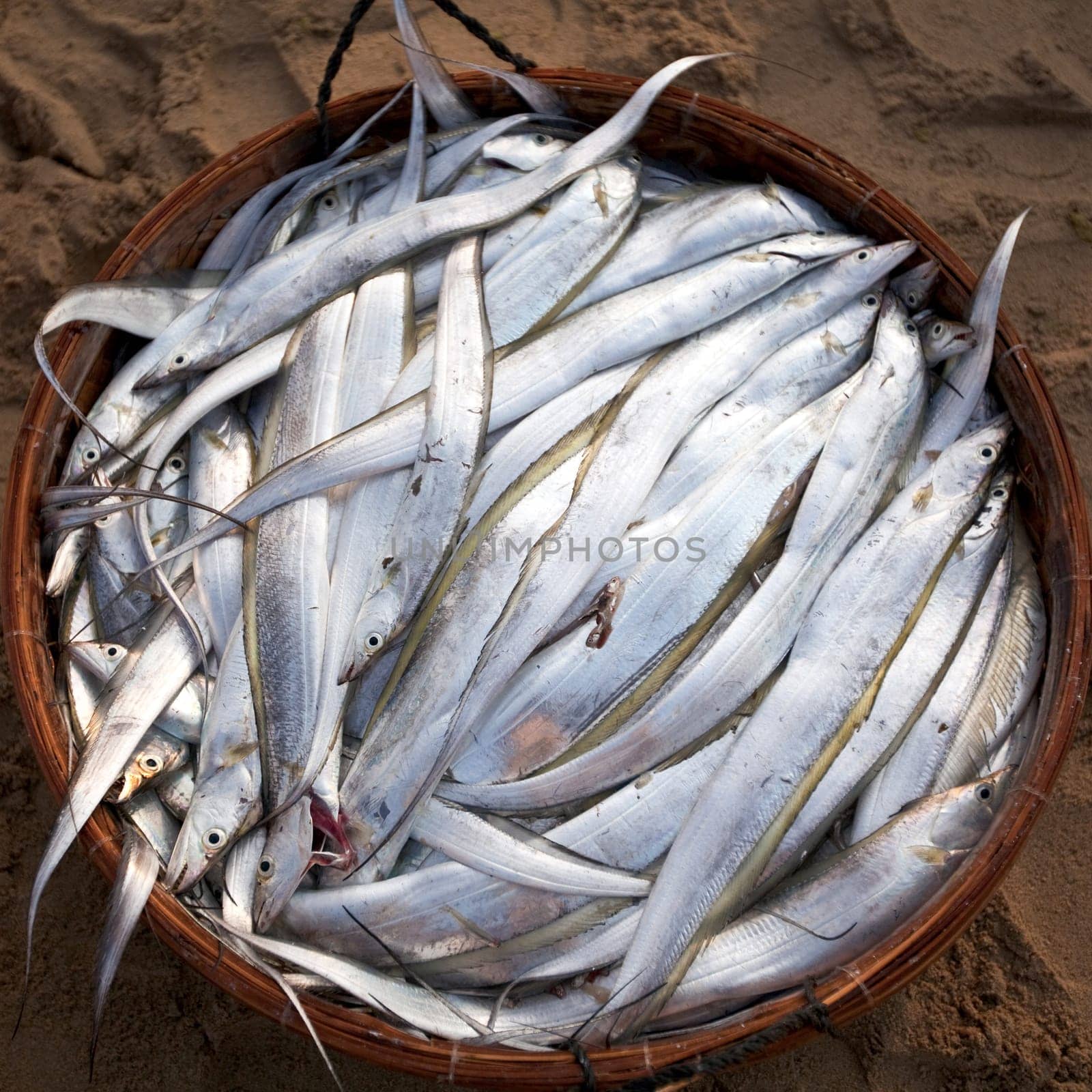 Fish in basket on fish market. Vietnam