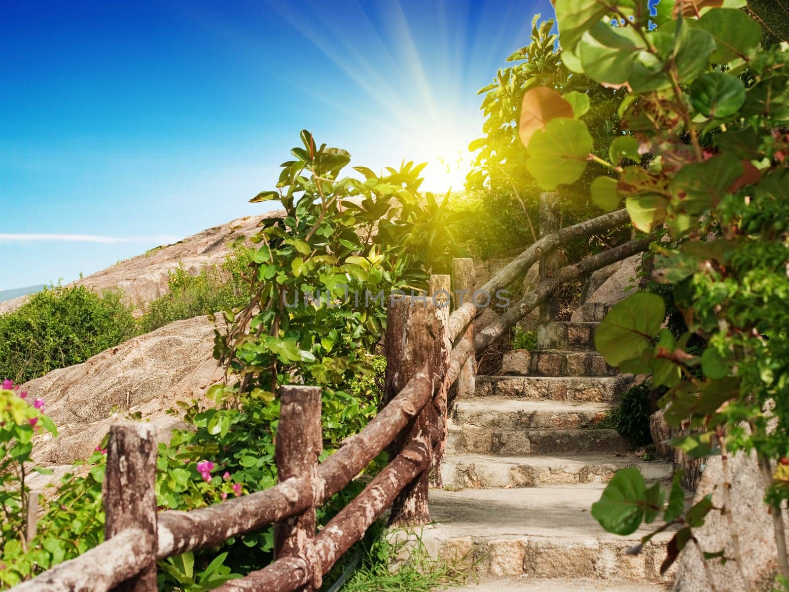 Wooden stairs in the tropical garden.