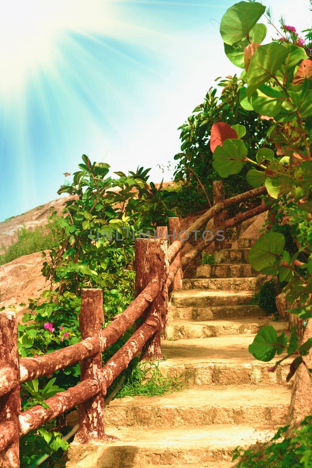 Wooden stairs in the tropical garden.