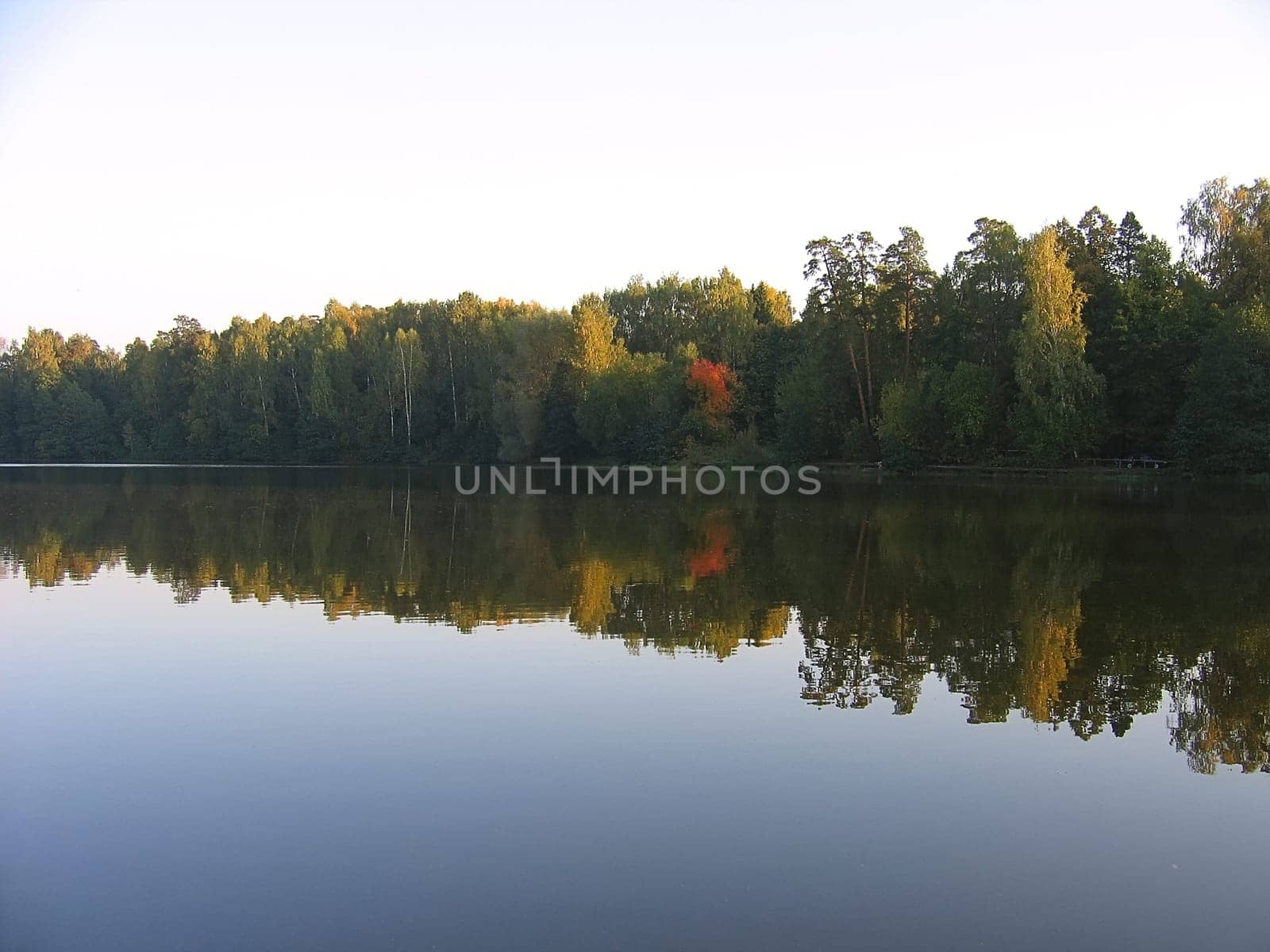 Reflection of the autumn trees in water