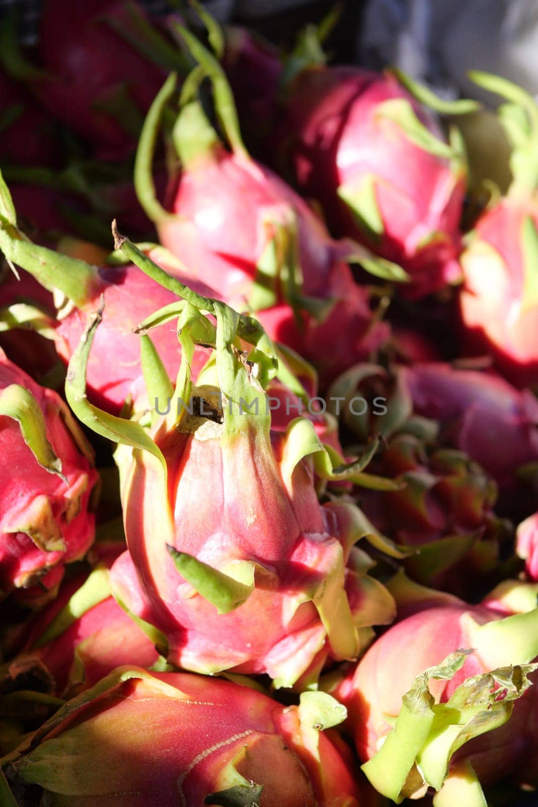 Fresh dragon fruits in shades of pink and green, ready for purchase at a market.