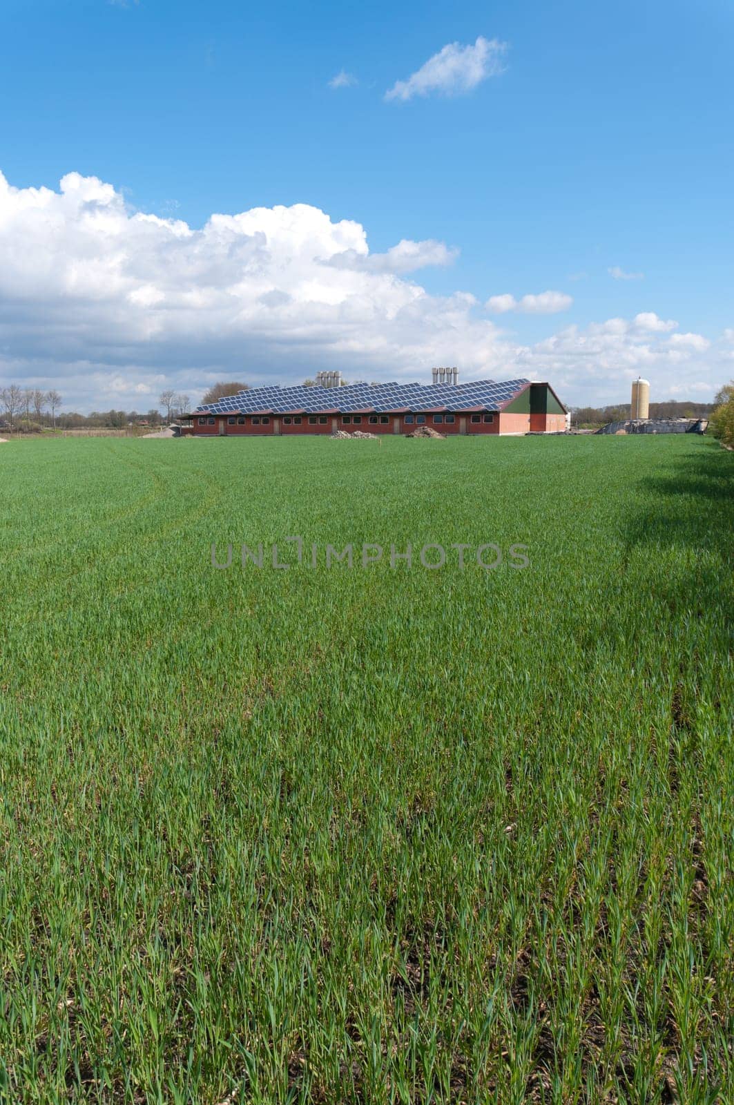 barn with its roof full with solar panels