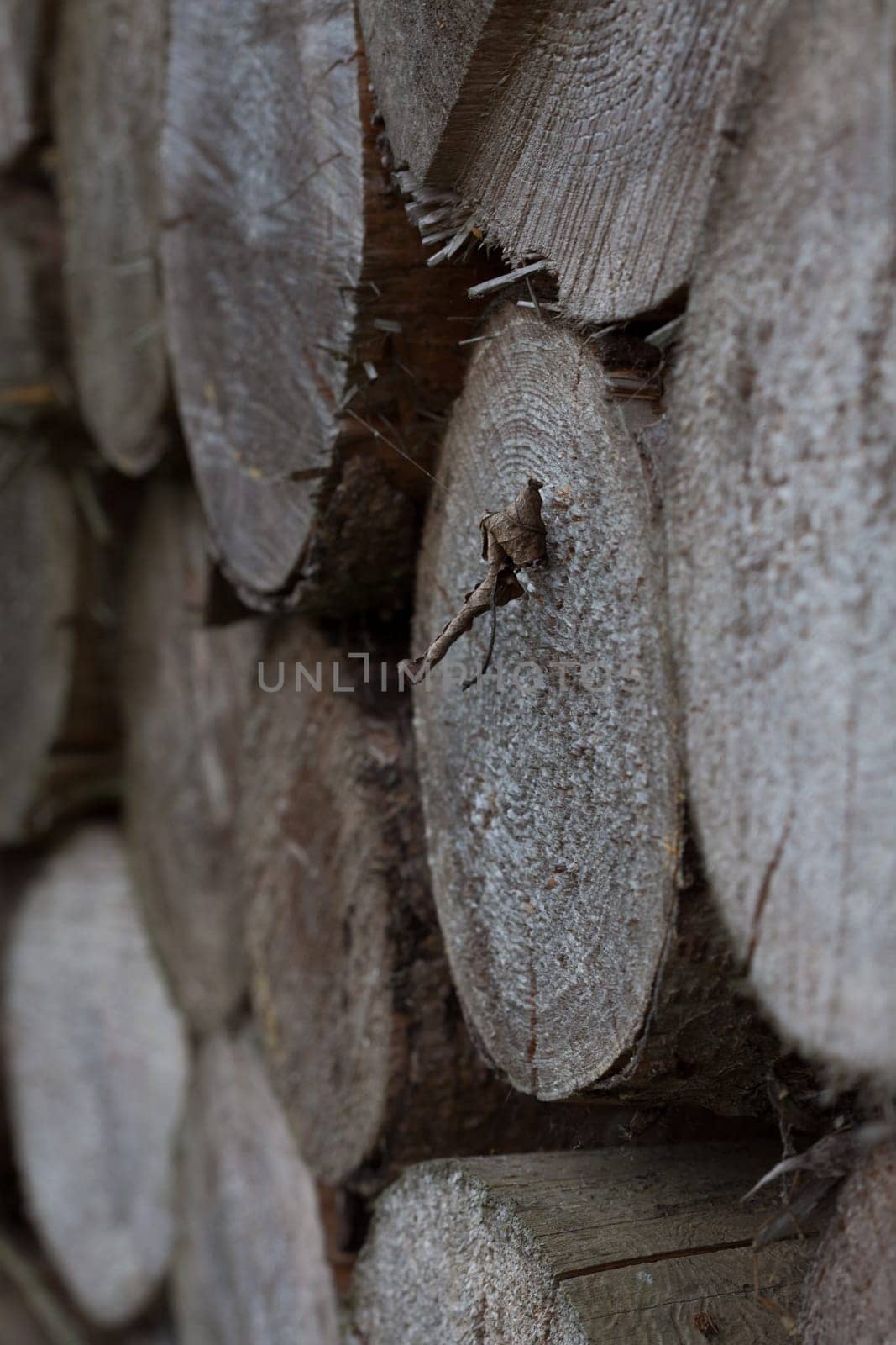 Wood