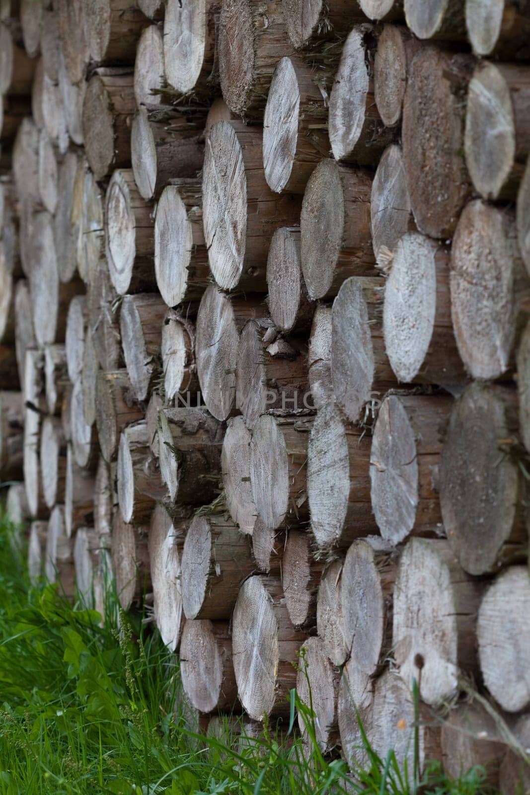 Wood
