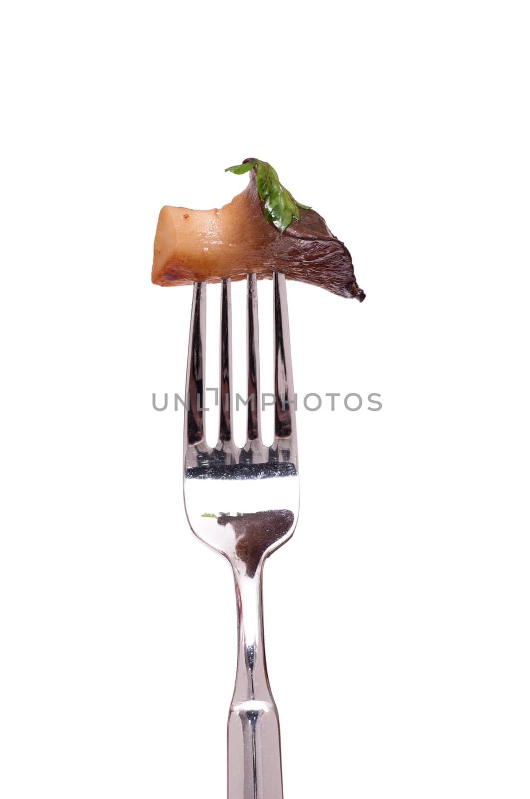 White isolated edible mushroom king oyster mushroom with parsley on a fork