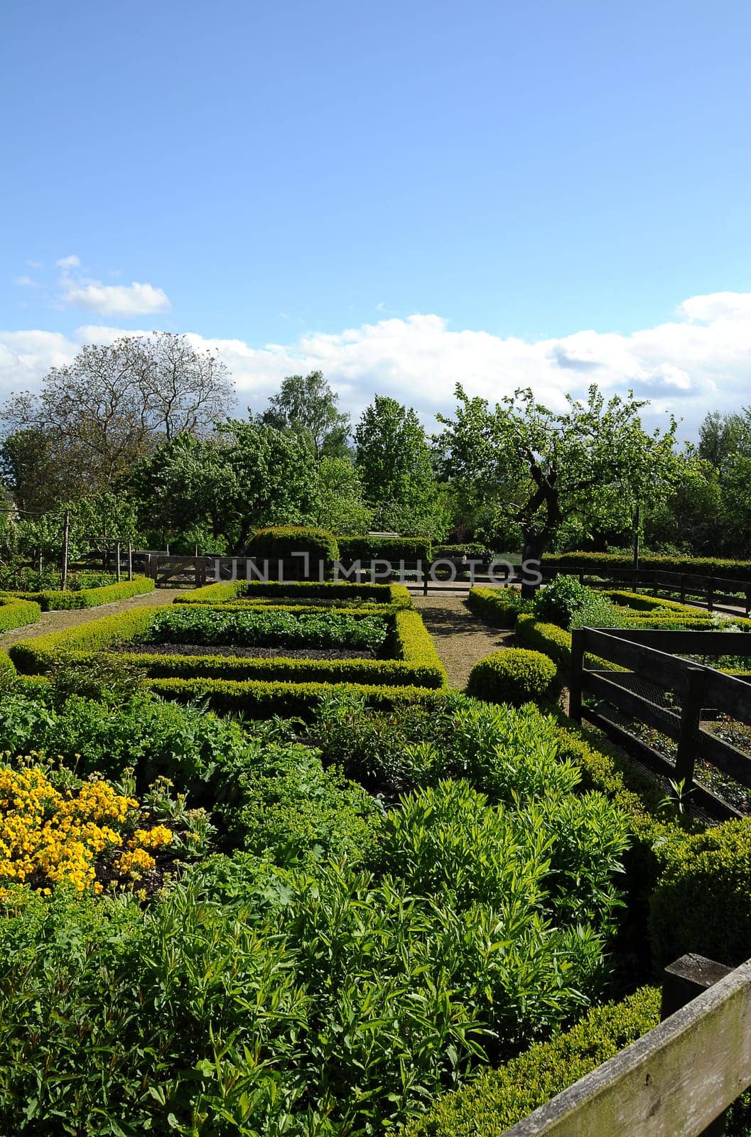Cottage garden