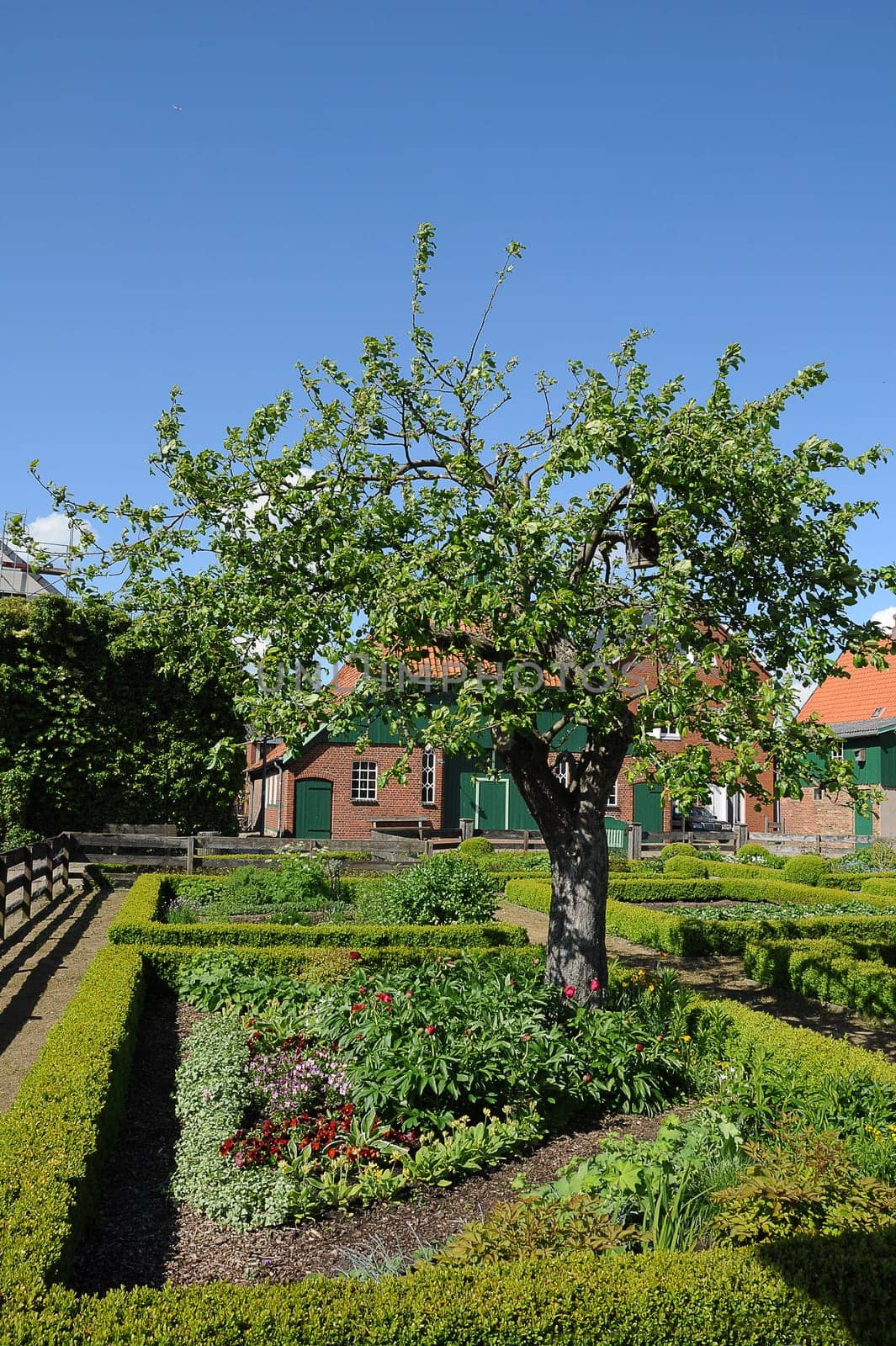 Cottage garden