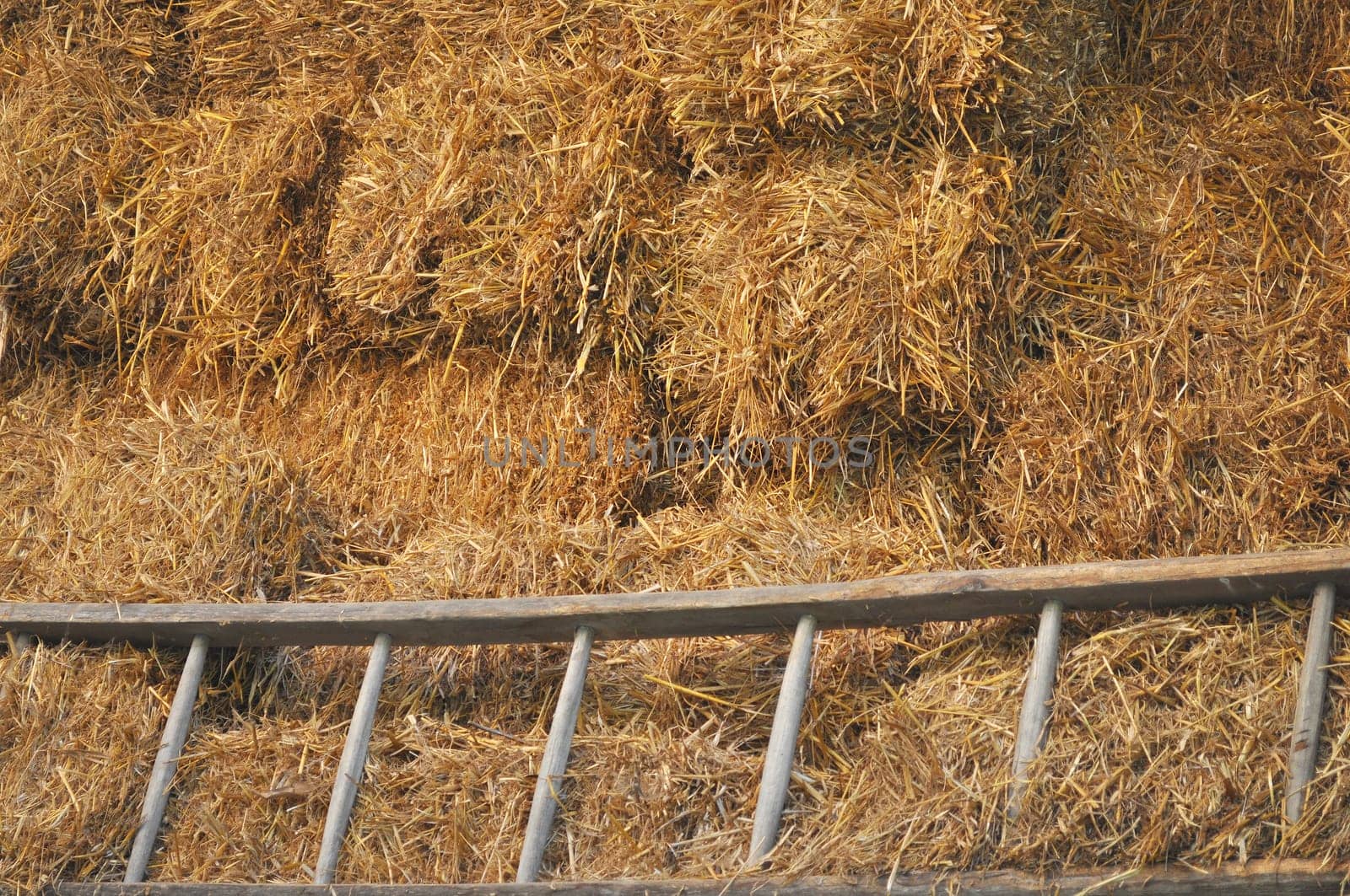 Detail of straw useful as a background