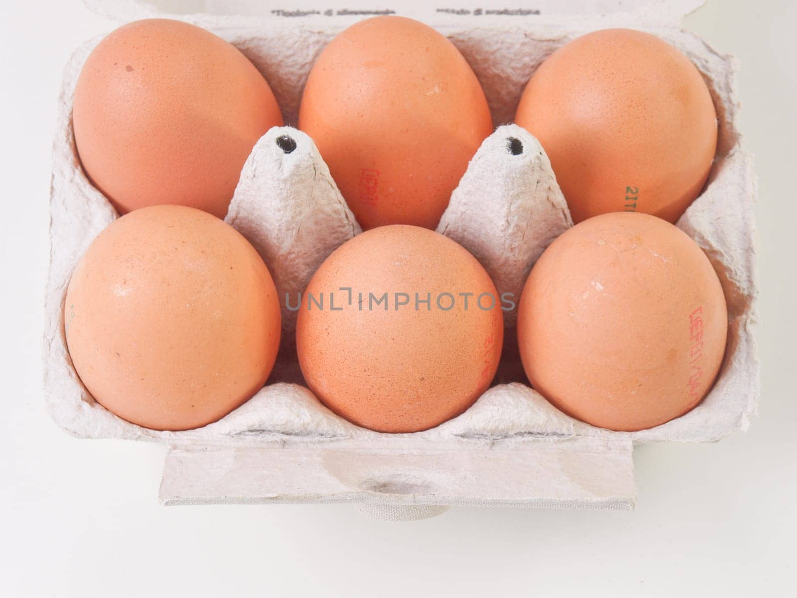 Six eggs in a carton box