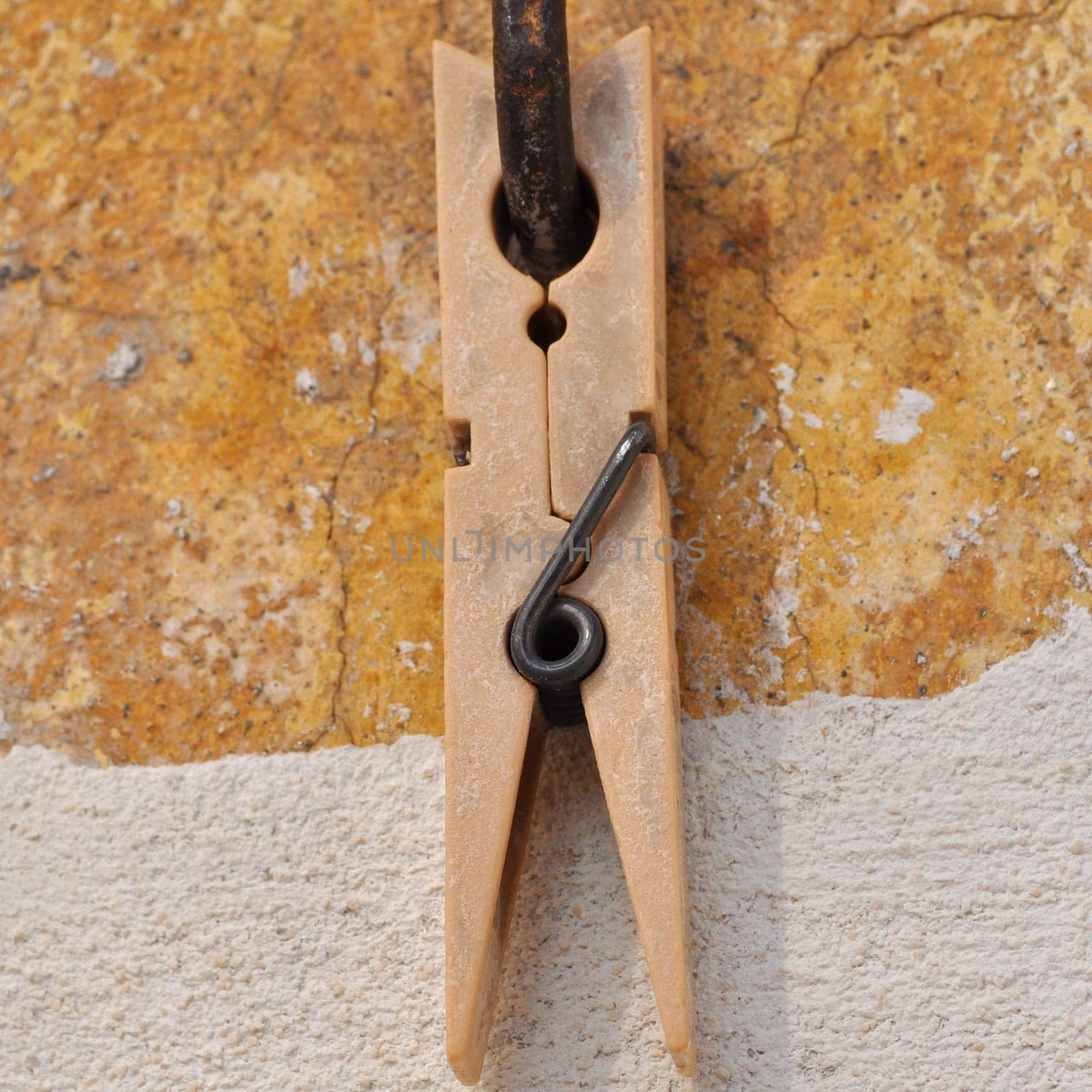 Clothespin or clothes peg spring loaded wood clamp