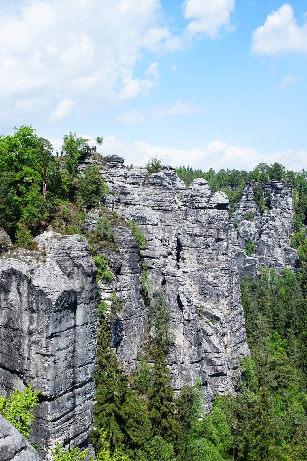 View from the Bastei in the Elbe Sandstone Mountains