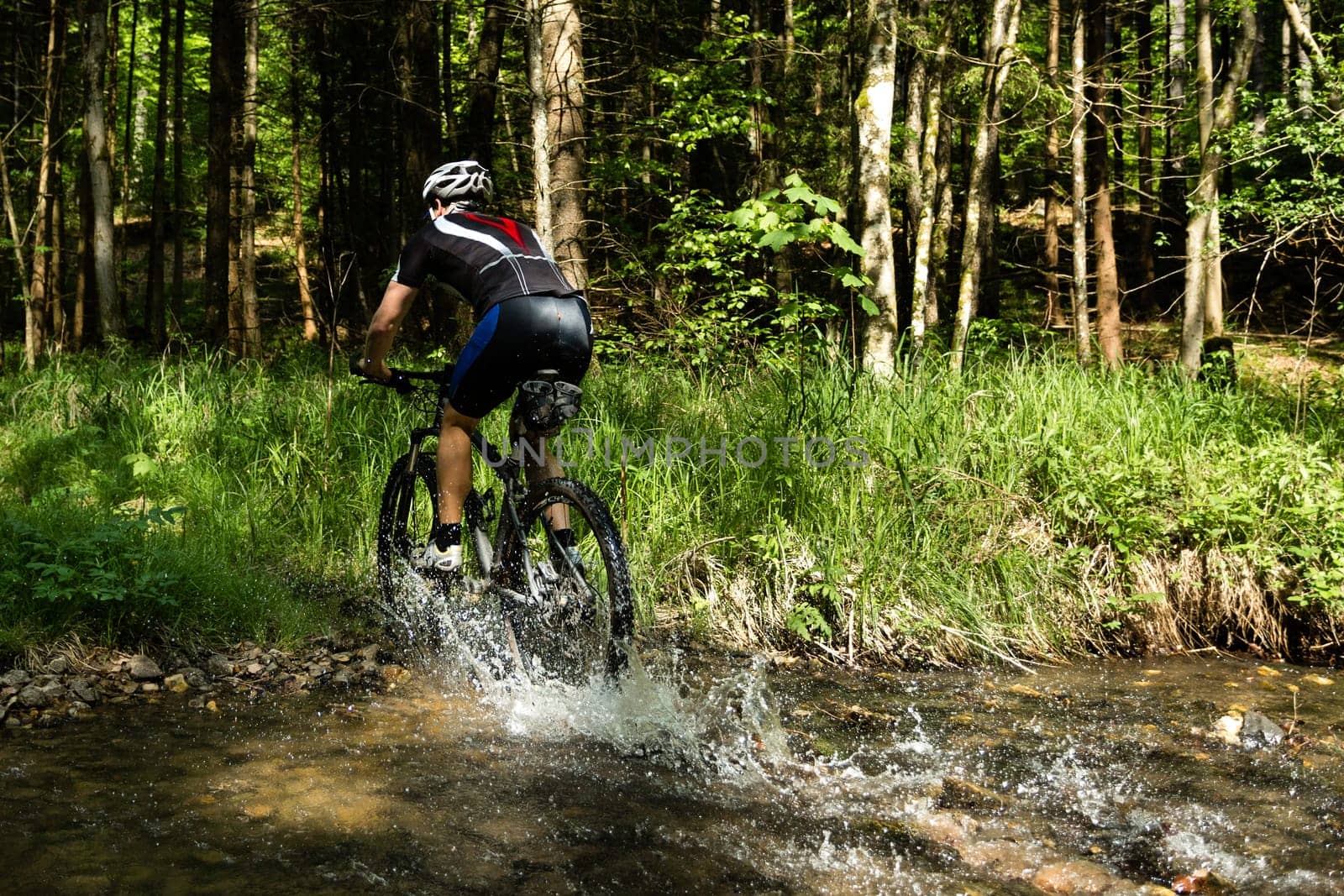 Mountain bikers in action