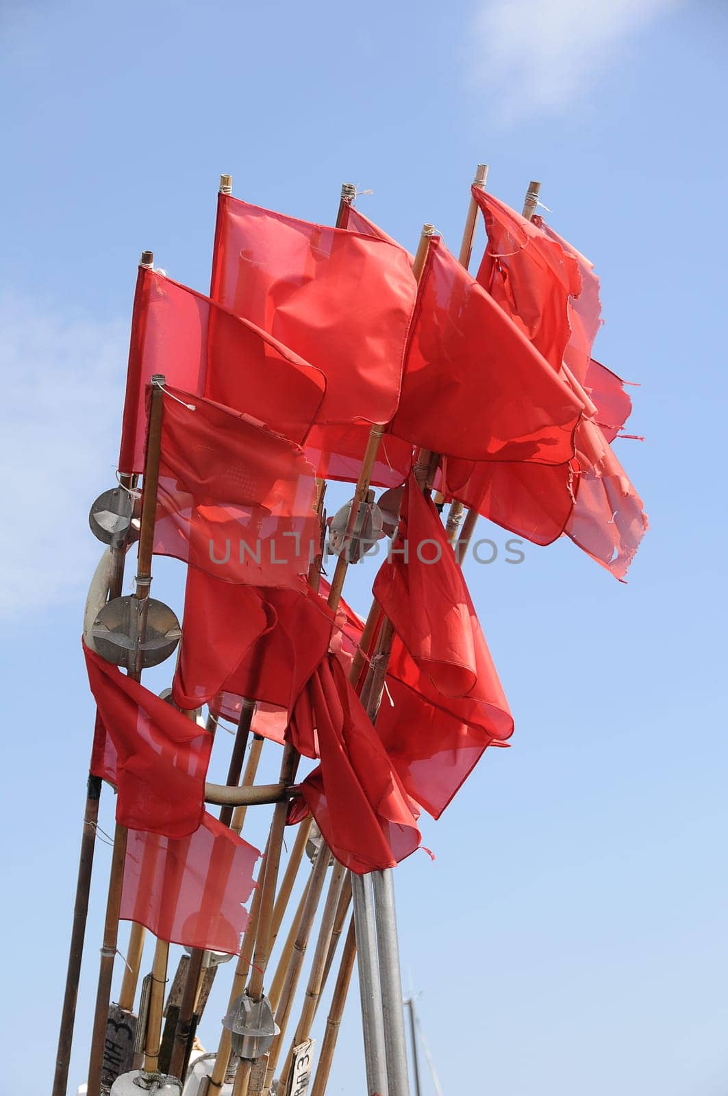 Fishing Flag