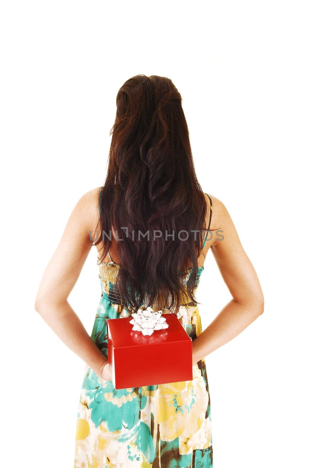 An slim young woman in a dress and with long brunette hair standing from the back and holding a present in a red box, over white.
