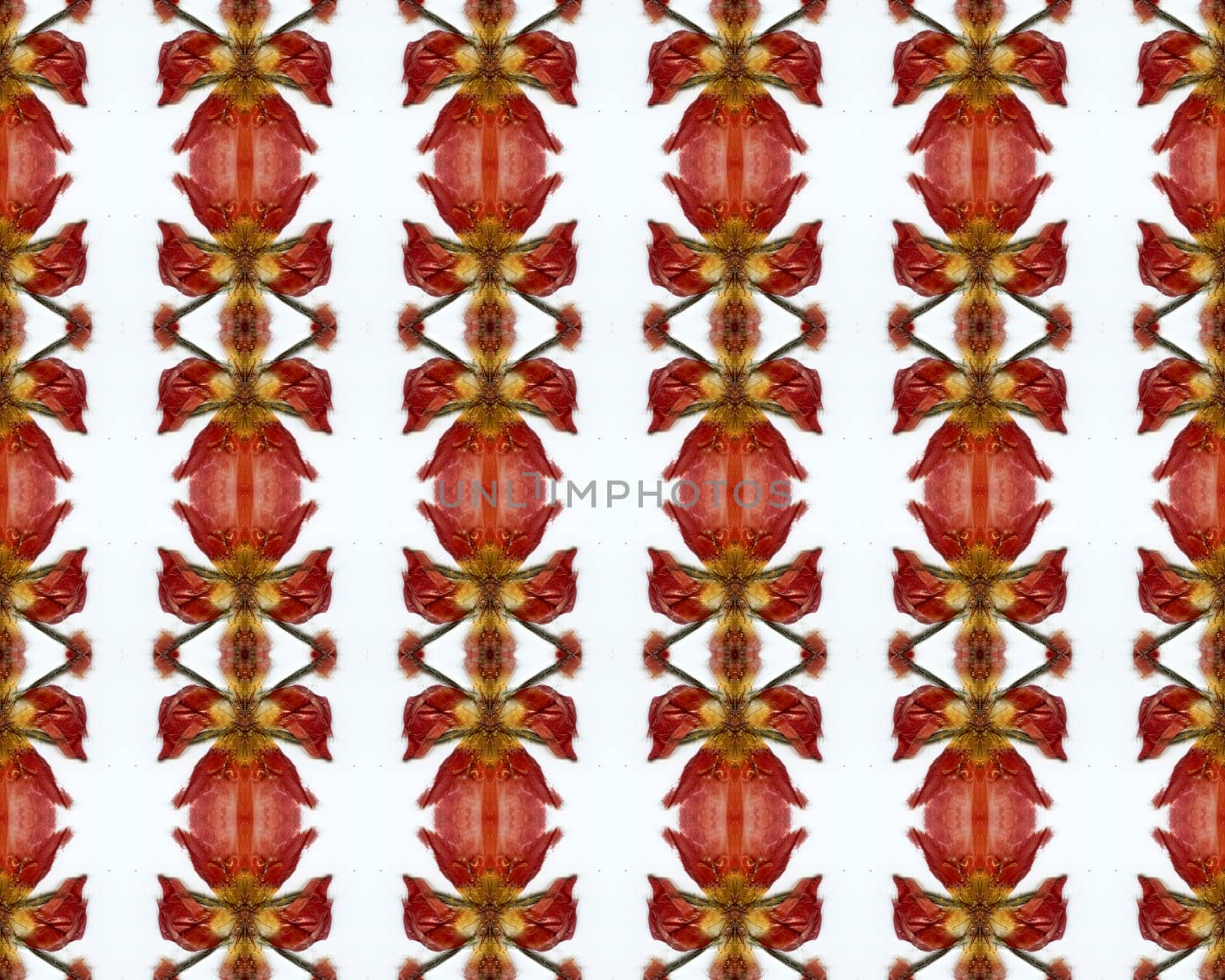 the vintage shabby background with classy patterns