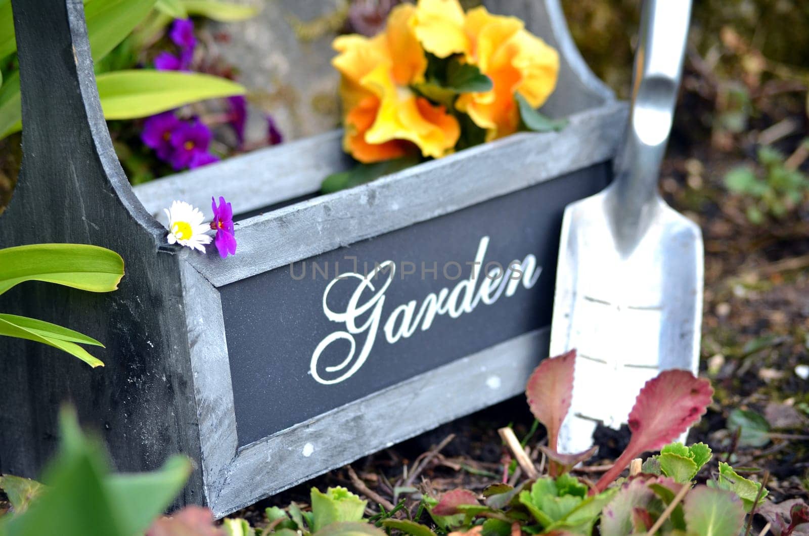 Plants Garden Tool