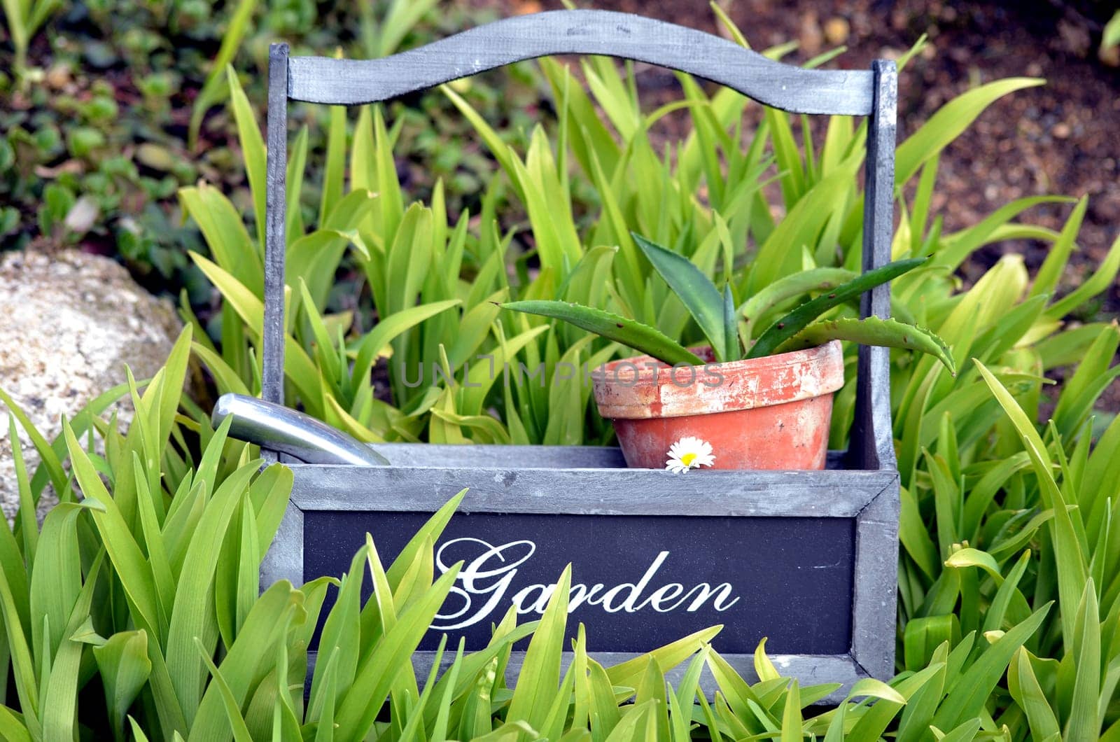 Plants Garden Tool