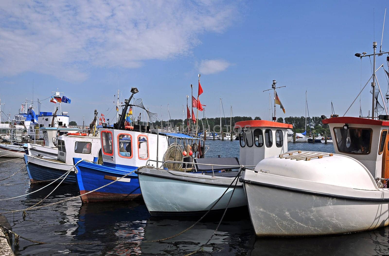 Fishing boats