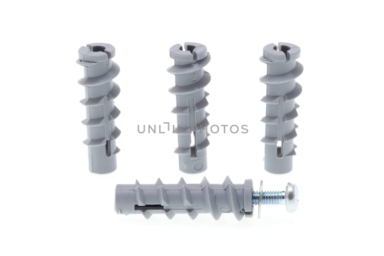 details of a dowel and a screw isolated on white