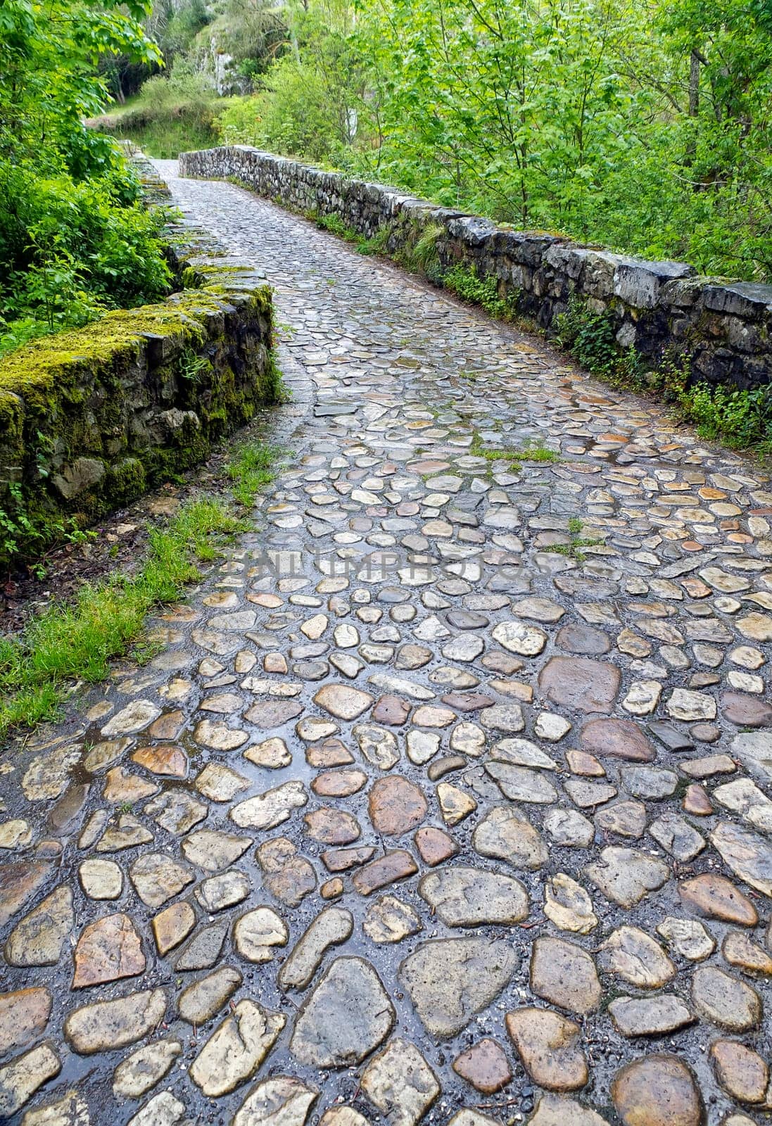 Roman bridge input, Poo de Cabrales, Old rustic village of Asturias, Spain