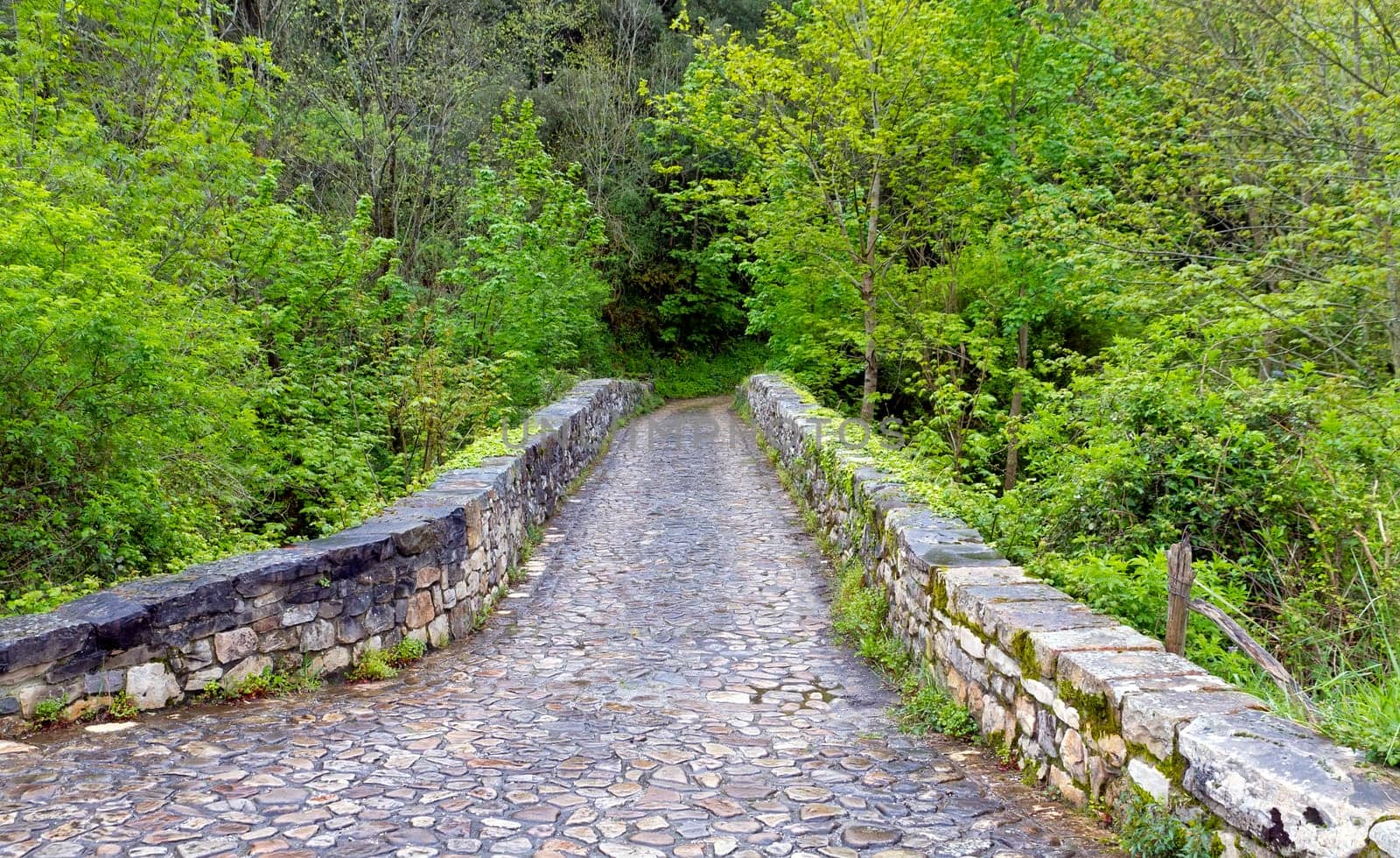 Roman bridge input, Poo de Cabrales, Old rustic village of Asturias, Spain