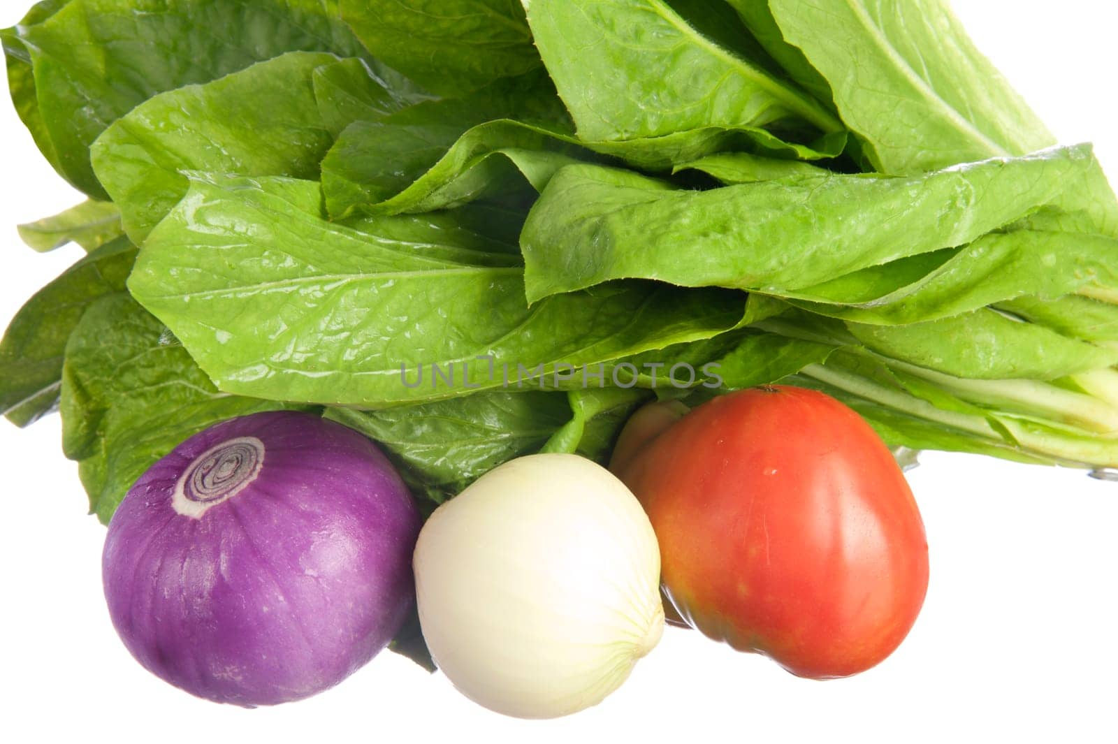 fresh organic vegetables freshly picked from the garden