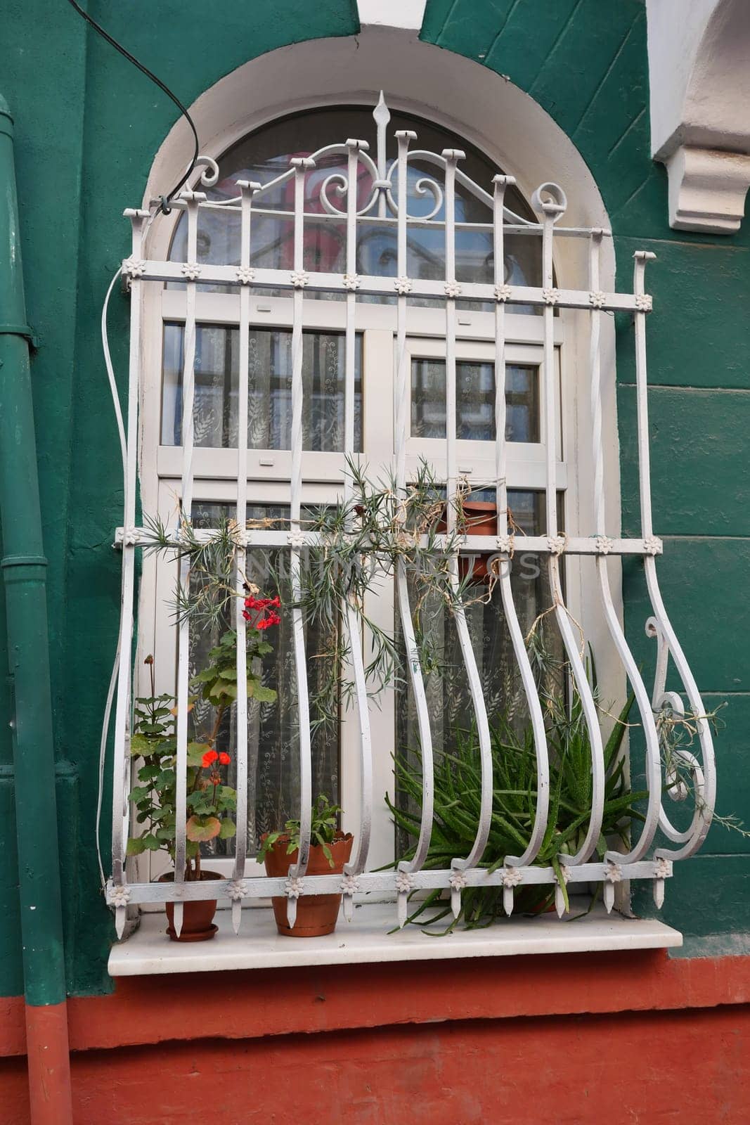Beautiful window adorned with white bars and vibrant potted plants.