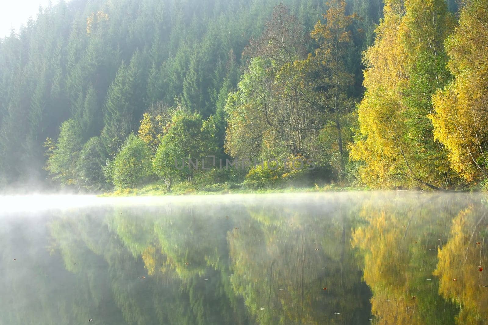 Forest lake in the autumn morning.  Above the lake is a mist.