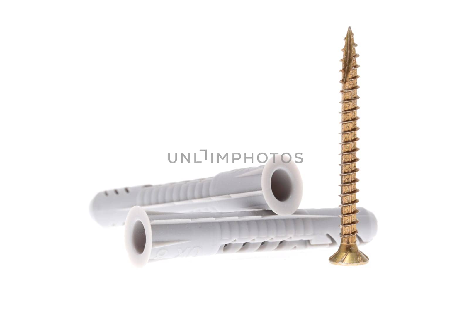 details of a dowels and a screw isolated on white