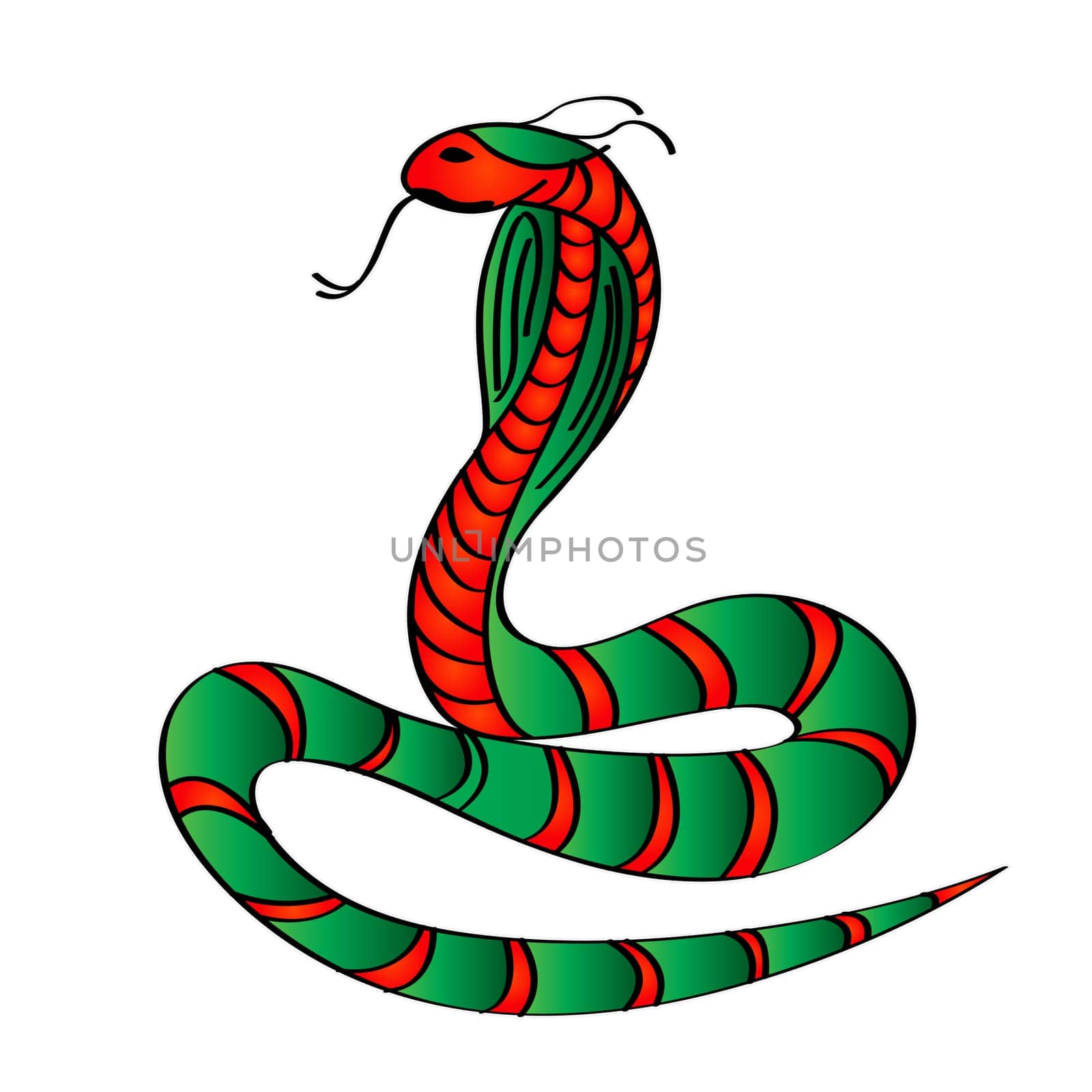 Stylized Cobra snake over white background, clip art.