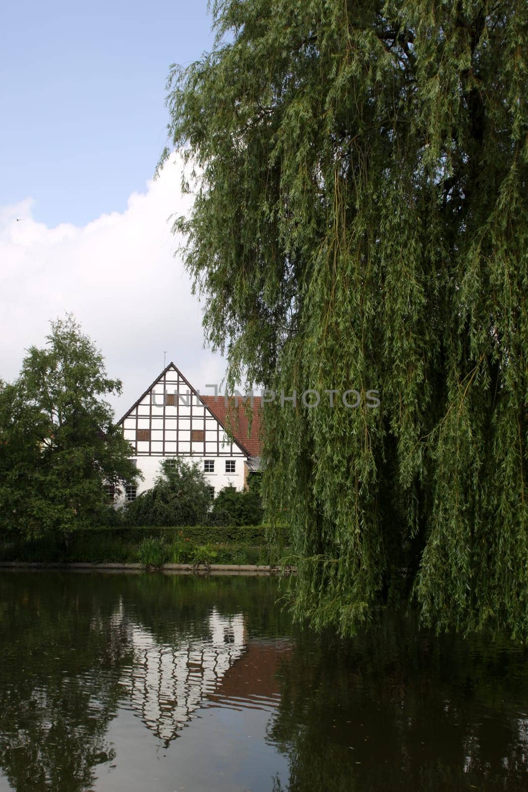 The Torteich in Alverdissen
