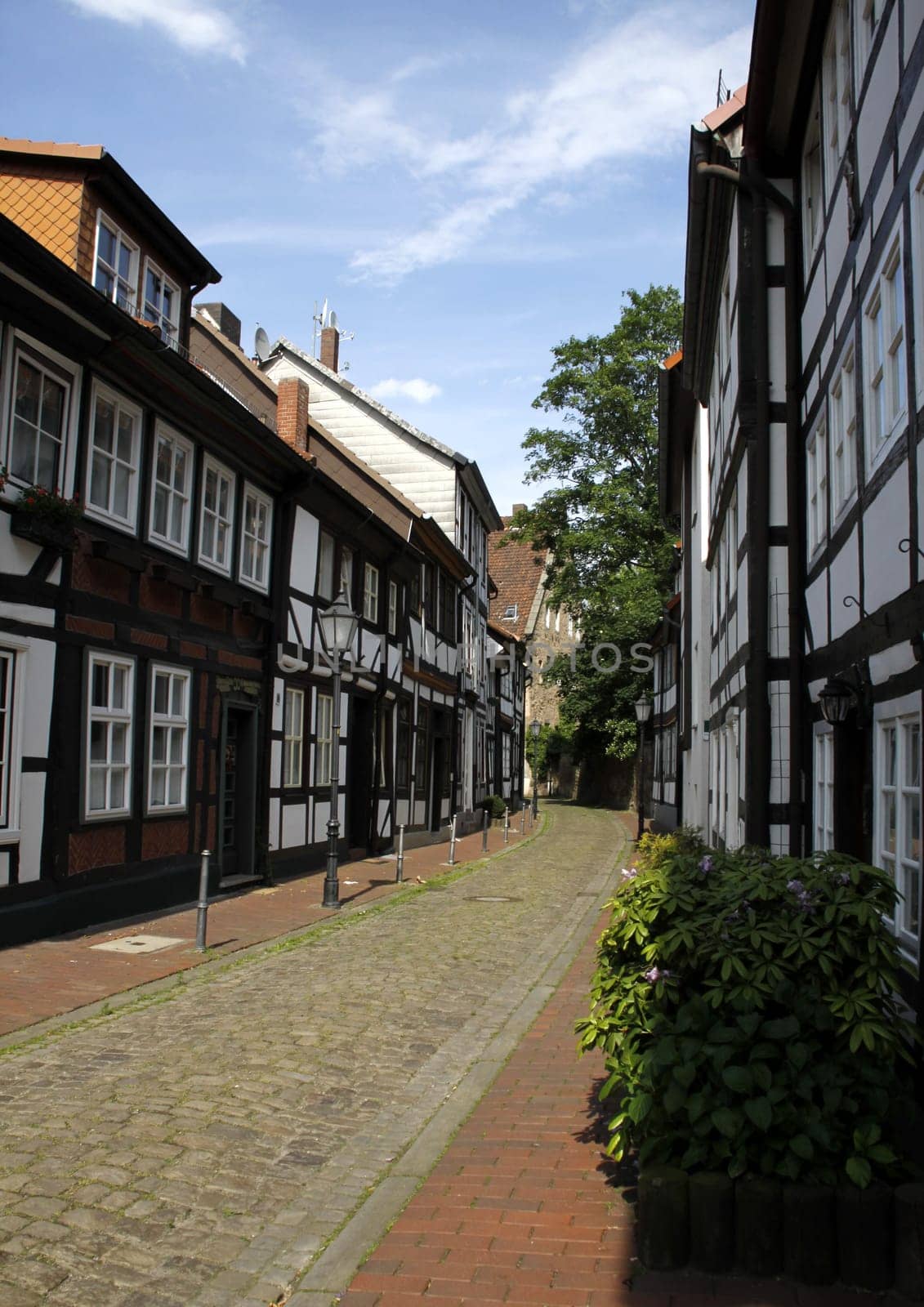Street in the old town of Hamelin
