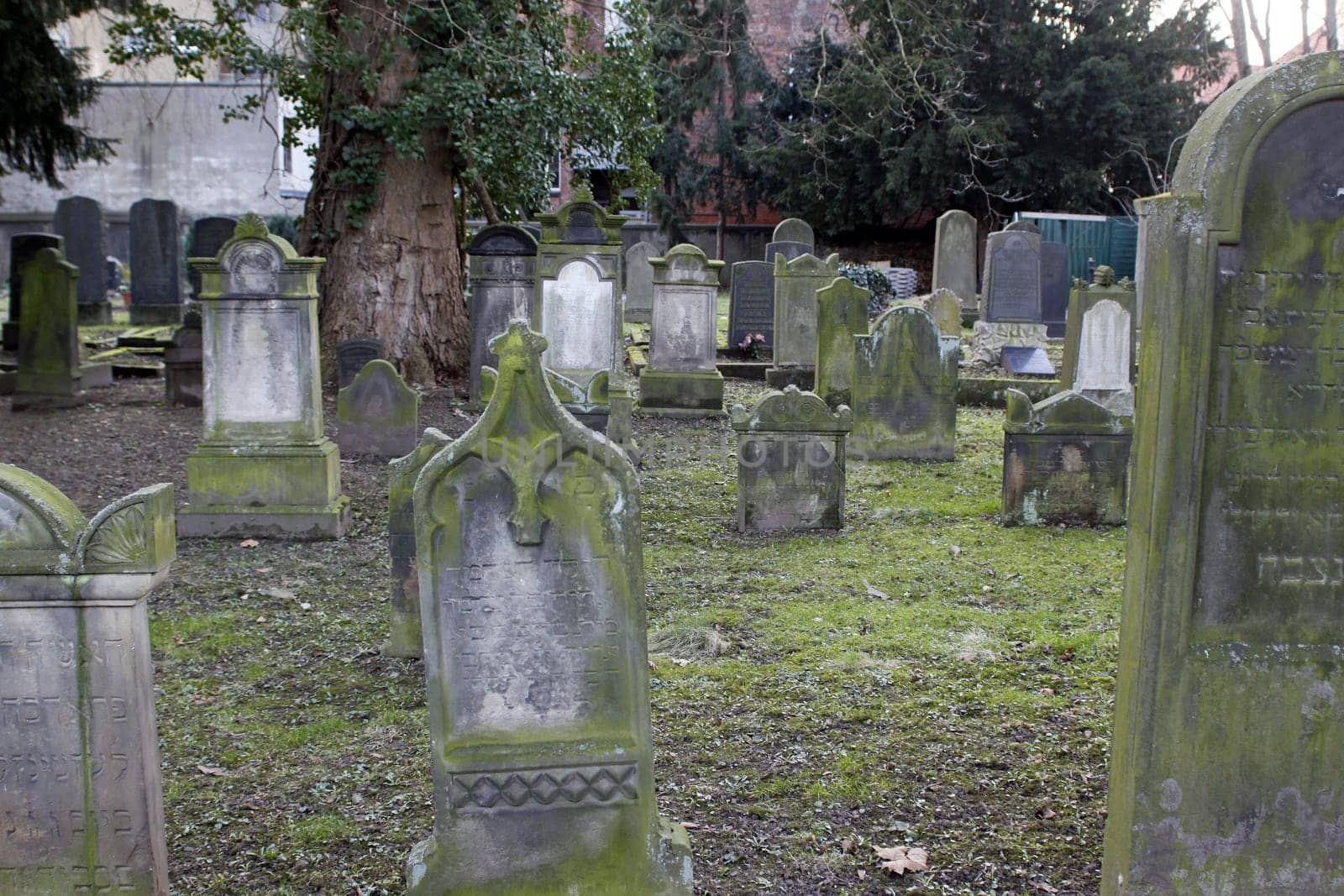 Jewish cemetery in Hamelin
