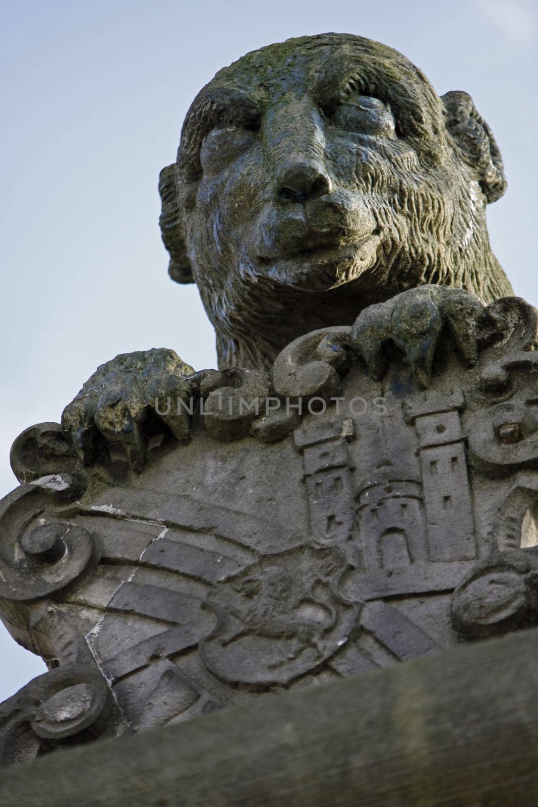 Coat of arms bear at the ECG in Lemgo