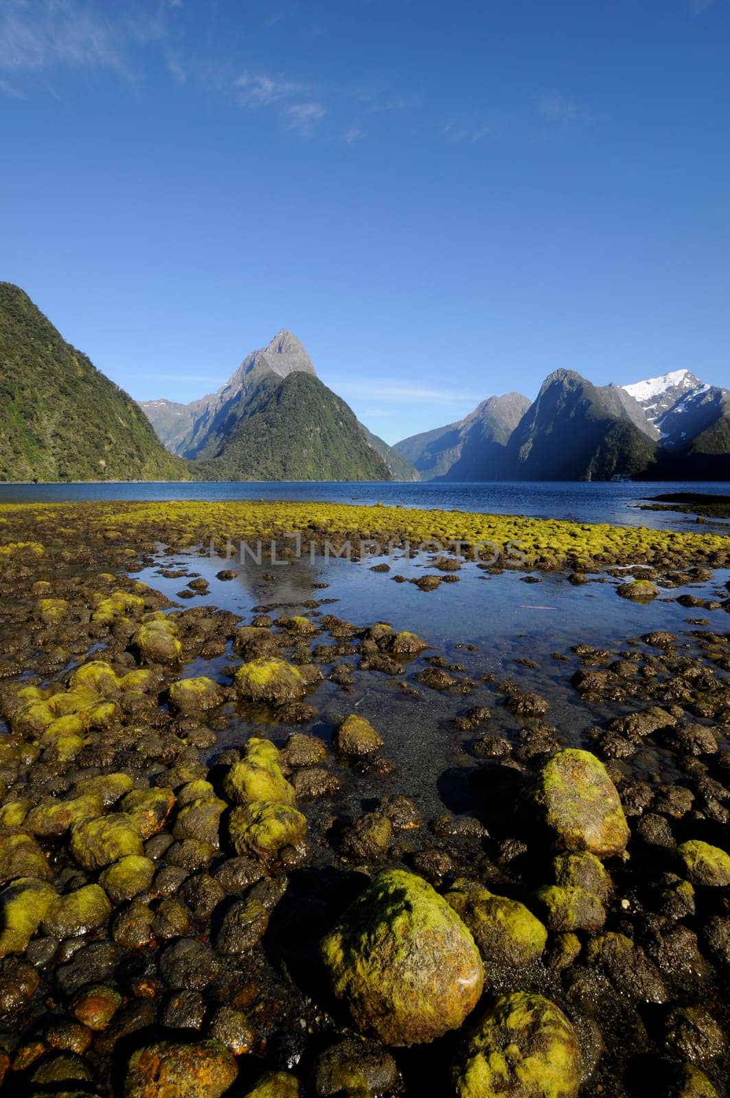 Milford Sound with Mitre Peak