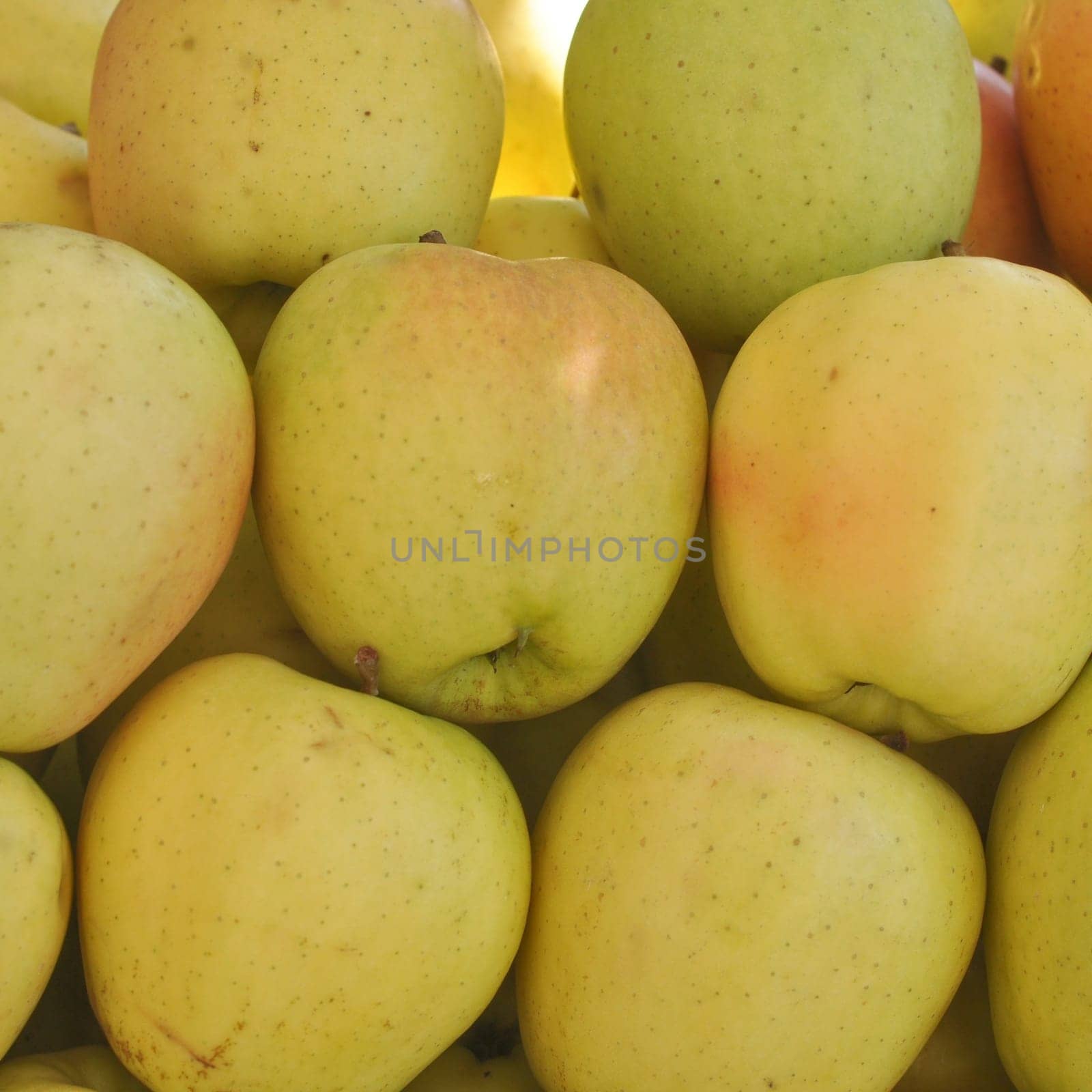 Apple fruit (Malus Domestica), green, yellow or red