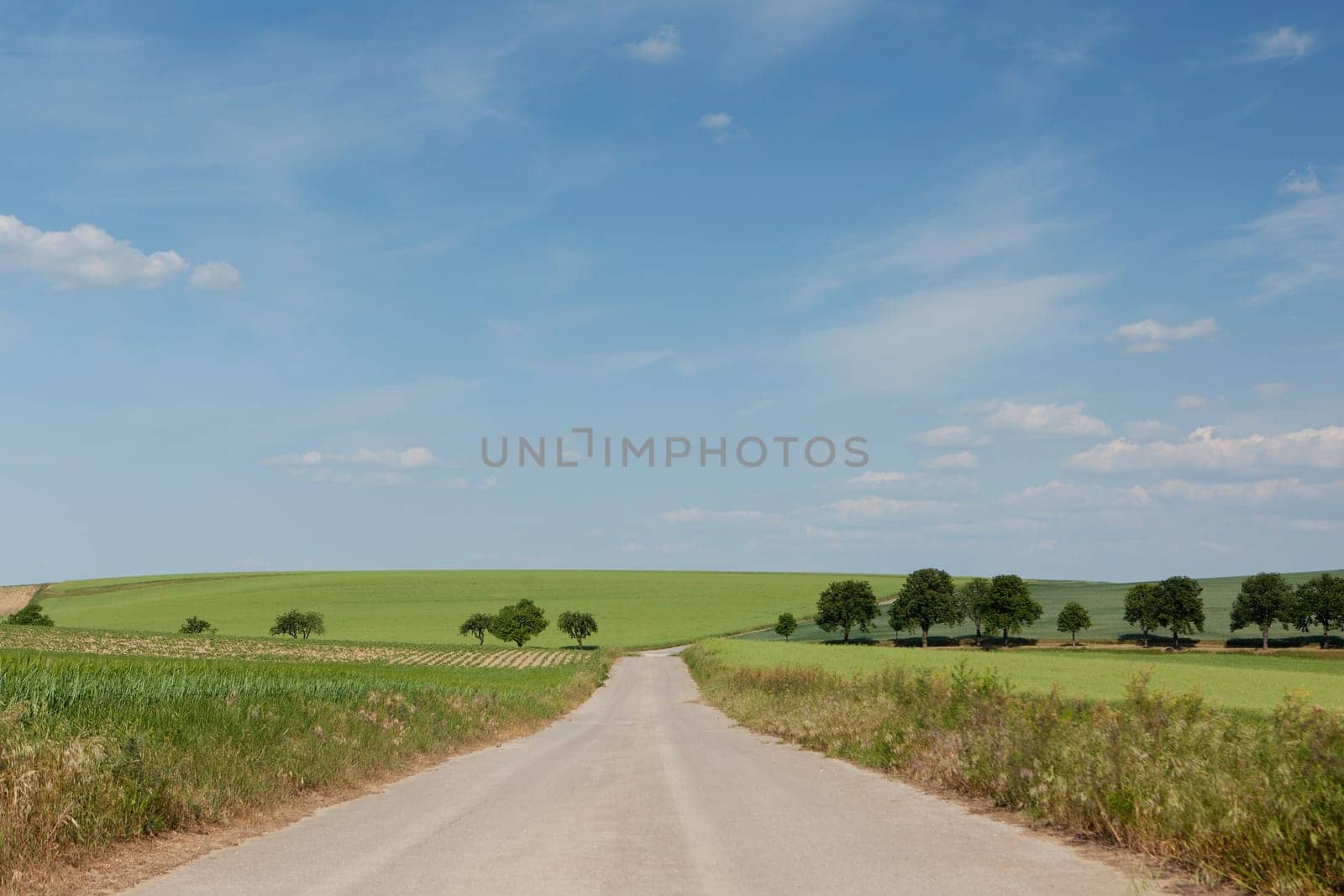 Country road in the distance,road with a perspective in nature