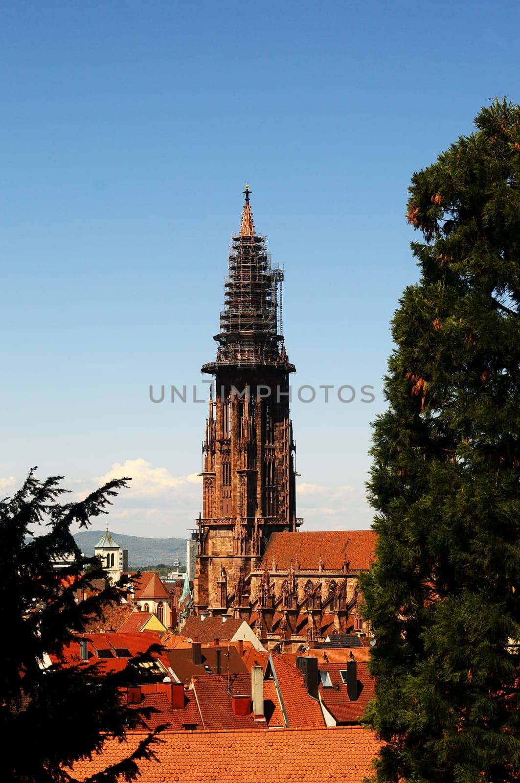 Freiburg Cathedral